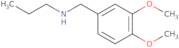 [(3,4-Dimethoxyphenyl)methyl](propyl)amine