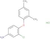 3-Chloro-4-(2,4-dimethylphenoxy)aniline hydrochloride