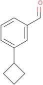 3-Cyclobutylbenzaldehyde