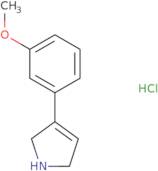 3-(3-Methoxyphenyl)-2,5-dihydro-1H-pyrrole hydrochloride