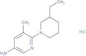 6-(3-Ethylpiperidin-1-yl)-5-methylpyridin-3-amine hydrochloride