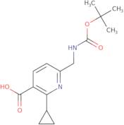 6-({[(tert-Butoxy)carbonyl]amino}methyl)-2-cyclopropylpyridine-3-carboxylic acid