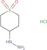 (Tetrahydro-​1,​1-​dioxido-​2H-​thiopyran-​4-​yl)​-​hydrazine hydrochloride