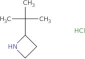 2-tert-Butylazetidine hydrochloride