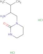 1-(2-Amino-3-methylbutyl)-1,3-diazinan-2-one dihydrochloride