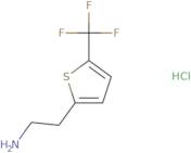 2-[5-(Trifluoromethyl)thiophen-2-yl]ethan-1-amine hydrochloride