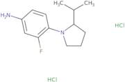 3-Fluoro-4-[2-(propan-2-yl)pyrrolidin-1-yl]aniline dihydrochloride