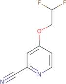 4-(2,2-Difluoroethoxy)pyridine-2-carbonitrile