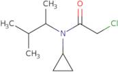 2-Chloro-N-cyclopropyl-N-(3-methylbutan-2-yl)acetamide