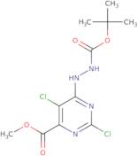 Methyl 6-({[(tert-butoxy)carbonyl]amino}amino)-2,5-dichloropyrimidine-4-carboxylate