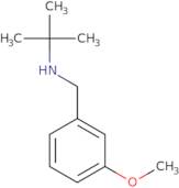 N-(3-Methoxyphenylmethyl)tert-butylamine