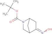 tert-butyl 5-(hydroxyimino)-2-azabicyclo[2.2.1]heptane-2-carboxylate