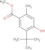 Methyl 5-(tert-butyl)-4-hydroxy-2-methylbenzoate