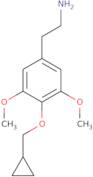 2-[4-(Cyclopropylmethoxy)-3,5-dimethoxyphenyl]ethan-1-amine