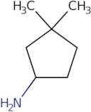 3,3-Dimethylcyclopentan-1-amine