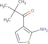 1-(2-Aminothiophen-3-yl)-2,2-dimethylpropan-1-one