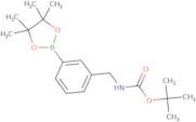 3-(N-Boc-aminomethyl)phenylboronic acid pinacol ester