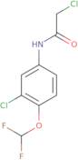 2-Chloro-N-[3-chloro-4-(difluoromethoxy)phenyl]acetamide