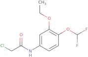 2-Chloro-N-[4-(difluoromethoxy)-3-ethoxyphenyl]acetamide