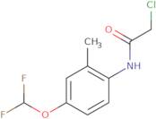 2-Chloro-N-(4-difluoromethoxy-2-methyl-phenyl)-acetamide