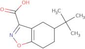 5-tert-Butyl-4,5,6,7-tetrahydro-1,2-benzoxazole-3-carboxylic acid