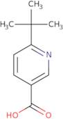 6-(tert-Butyl)nicotinic acid