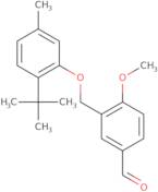 3-[(2-tert-Butyl-5-methylphenoxy)methyl]-4-methoxybenzaldehyde