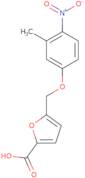 5-[(3-Methyl-4-nitrophenoxy)methyl]furan-2-carboxylic acid