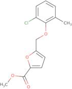 5-(2-Chloro-6-methyl-phenoxymethyl)-furan-2-carboxylic acid methyl ester