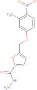 5-[(3-Methyl-4-nitrophenoxy)methyl]furan-2-carbohydrazide