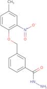 3-[(4-Methyl-2-nitrophenoxy)methyl]benzohydrazide