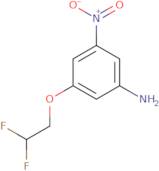 3-(2,2-Difluoroethoxy)-5-nitroaniline