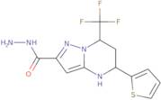 5-(Thiophen-2-yl)-7-(trifluoromethyl)-4,5,6,7-tetrahydropyrazolo[1,5-a]pyrimidine-2-carbohydrazide