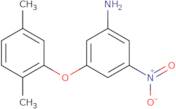 3-(2,5-Dimethylphenoxy)-5-nitroaniline