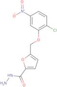 5-(2-Chloro-5-nitro-phenoxymethyl)-furan-2-carboxylic acid hydrazide