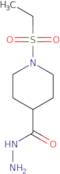 1-(Ethylsulfonyl)piperidine-4-carbohydrazide