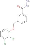3-[(2,3-Dichlorophenoxy)methyl]benzohydrazide