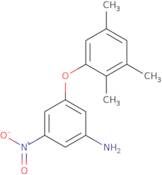 3-Nitro-5-(2,3,5-trimethylphenoxy)aniline