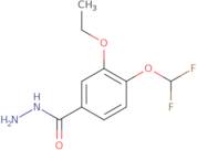 4-(Difluoromethoxy)-3-ethoxybenzohydrazide