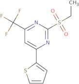 2-(Ethylsulfonyl)-4-thien-2-yl-6-(trifluoromethyl)pyrimidine