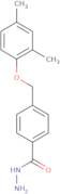 4-[(2,4-Dimethylphenoxy)methyl]benzohydrazide