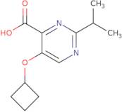 5-Cyclobutoxy-2-(propan-2-yl)pyrimidine-4-carboxylic acid