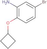 5-Bromo-2-cyclobutoxyaniline