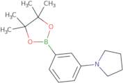 3-(Pyrrilidyl)phenylboronic acid pinacol ester