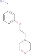 {3-[2-(Morpholin-4-yl)ethoxy]phenyl}methanamine