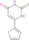 6-(2-Thienyl)-2-thioxo-2,3-dihydropyrimidin-4(1(H))-one