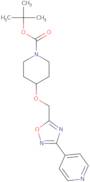 Tert-Butyl 4-((3-(pyridin-4-yl)-1,2,4-oxadiazol-5-yl)methoxy)piperidine-1-carboxylate