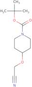 tert-Butyl 4-(cyanomethoxy)piperidine-1-carboxylate