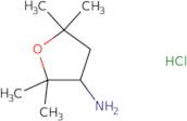 (2,2,5,5-Tetramethyltetrahydro-3-furanyl)amine hydrochloride