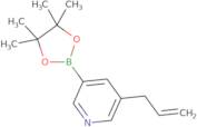 5-Allylpyridine-3-boronic acid pinacol ester